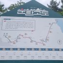 운탄고도1330 종주 완료 이미지