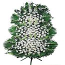 평화동017 이미지