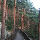 치유의숲 화장실 이미지