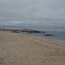 안녕동해야 이미지