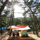 정금사 | [충청북도 제천시] 월악펜션빌