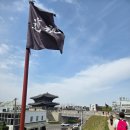 해당화 | 경기 수원 화성 아기랑 장안공원 해당화 개화율 포토존 방문후기(4월19일)