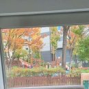 만두네 애견미용실 이미지