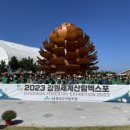 횡성군 산림조합 이미지