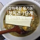 상하목장 유기농 치즈 1단계 돌전 아기 밥태기 간식 후기