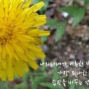 관양1동 행정복지센터 이미지
