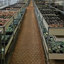 지양농장 이미지