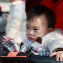 막둥이네 이미지