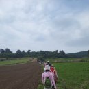 상모리-28 이미지