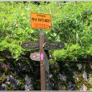 백양산 바람고개 이미지