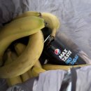 Travel Gym 이미지