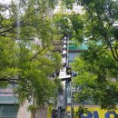 이용환내과의원 이미지