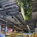 오드리푸드 이미지