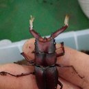 다온농장(2) 이미지