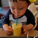 키즈팡팡 이미지