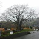 나의살던고향은 이미지