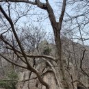 유달산 미륵불 암각 이미지