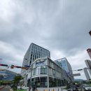 윙스약국 이미지