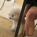 카페니치어은점 이미지