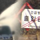 오리농장 이미지