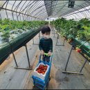 주식회사 나라식품 이미지