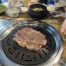 [전주 맛집] 인생 소고기 찾았다! 고기 다 구워주는 ‘땡벌정육식당’ 후기 🥩🧀