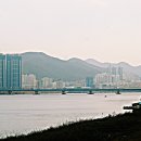 낙동강변 Daum카페