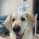 형제농장 이미지