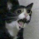 캐리짐 | [리뷰] 인천공항 외투보관 '짐캐리' 저렴한 짐보관 후기