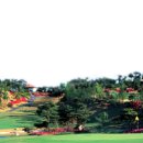 신안컨트리클럽 이미지