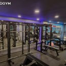 오늘의다GYM