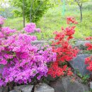 아빠다펜션 이미지