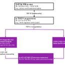 탑코리아자동차정비 이미지