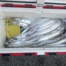 화원 별암리 이미지