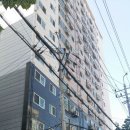 부흥초교 이미지