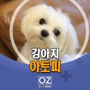 Dr.오즈동물병원 이미지