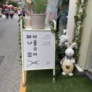 [부평 미용실] 카르테리 두피케어 및 탈모완화 전문, &lt;헤어나올수없어&gt; 부평두피케어 후기