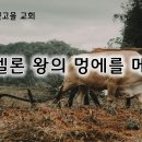 7월 3일(수) 바벨론 왕의 멍에를 메라! 이미지