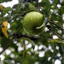 두성농장 이미지