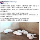 (주)새롬 이미지
