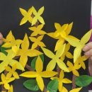 이천효요양병원 이미지