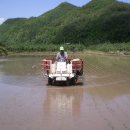 삼계초등학교 이미지