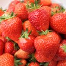 고건농장 이미지