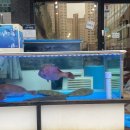 스시앤스시 이미지