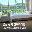 에스엠푸드(SM푸드) | 울산 신규 산후조리원ⅠSM산후조리원 현재 모습 직접 보고 왔어요.