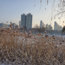 뉴 호수풍경 이미지