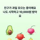 과일뱅크