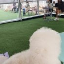 (주)인풀 이미지