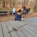 상일어린이집 이미지