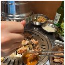 본가껍데기 네이버블로그